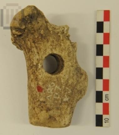 Οστέινο στοιχείο στειλέωσης εργαλείου