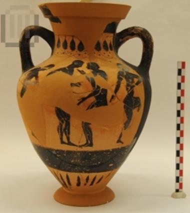 Black-figured amphora