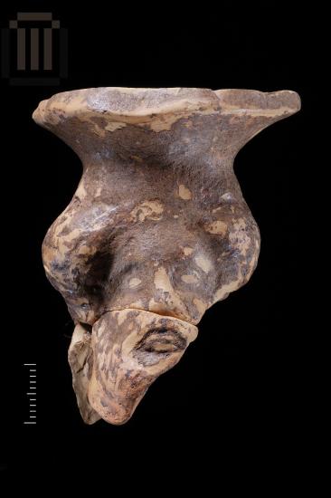 Part of a plastic vase from Dymokastro