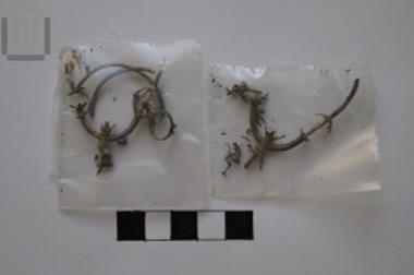 Ζεύγος ενωτίων