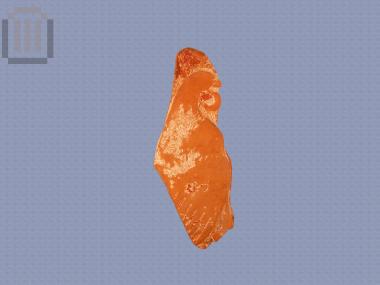 Bird plaque  (rooster)