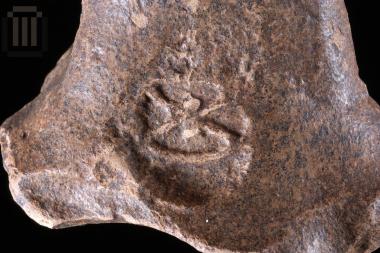 Part of stamped amphora handle from Dymokastro