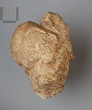 Μαρμάρινη κεφαλή από το γλυπτό διάκοσμο των μετοπών της εξωτερικής ζωφόρου της Θόλου