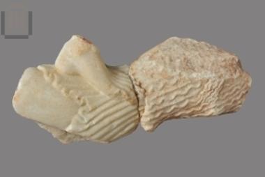 Μαρμάρινο θραύσμα συμπλέγματος από το γλυπτό διάκοσμο του θησαυρού των Μασσαλιωτών