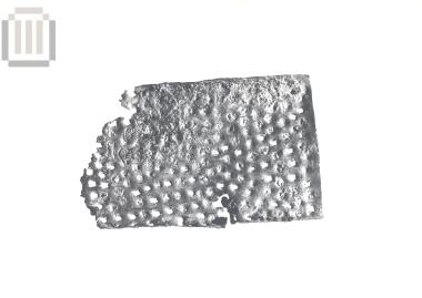 Χάλκινος ορθογώνιος τρίφτης από την Ελέα