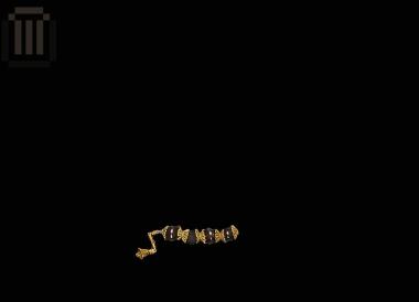 Οκτώ χρυσοί ρόδακες και τέσσερις γυάλινες χάντρες από το Φράγμα Καλαμά