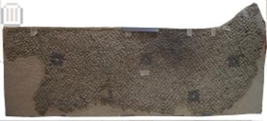 Fragment of floor mosaic