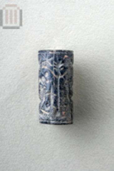 Cylinder seal