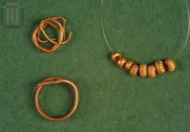 Σφηκωτήρες