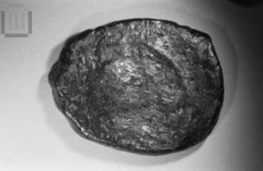 Δεκαεξανούμμιο