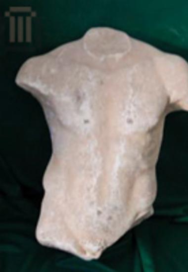 Naked male torso