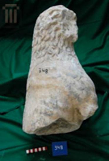 Front part of a standing lion