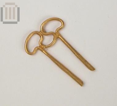 Gold case of a double pin