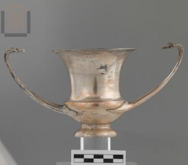 Αργυρός κάνθαρος