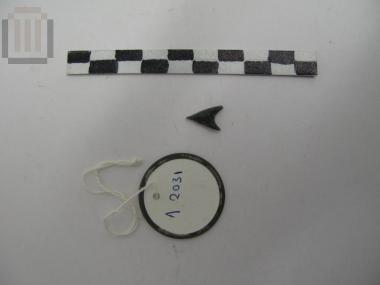 Αιχμή βέλους