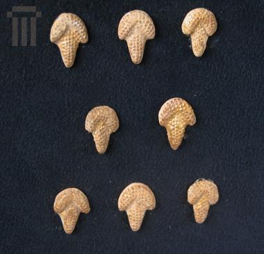 Eleven gilded terracotta grapes from a gilded ivy wreath