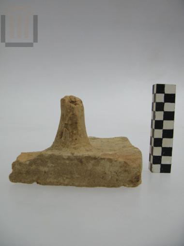 Τμήμα πήλινου αποστάτη [Tegula mammata]