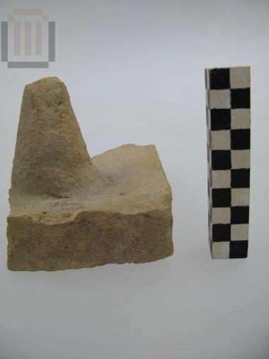 Τμήμα πήλινου αποστάτη [Tegula mammata]