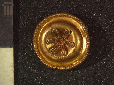 Χρυσή ασπιδόσχημη ψήφος περιδεραίου