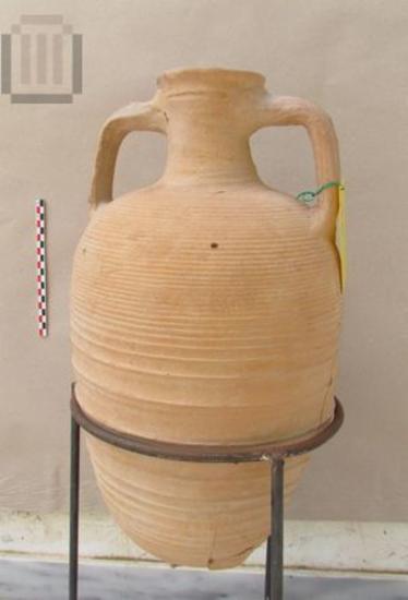 Type LR1 late roman amphora