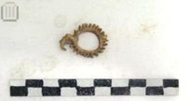 Μολύβδινος ακτινωτός δακτύλιος