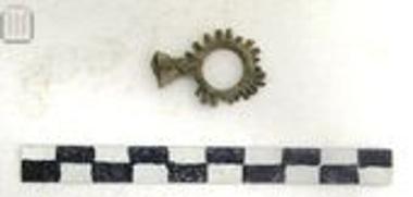 Μολύβδινος ακτινωτός δακτύλιος