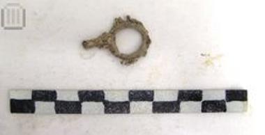 Μολύβδινος ακτινωτός δακτύλιος