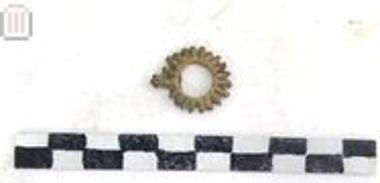 Μολύβδινος ακτινωτός δακτύλιος