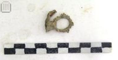 Μολύβδινος ακτινωτός δακτύλιος