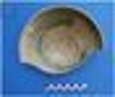 Πινάκιο εφυαλωμένο