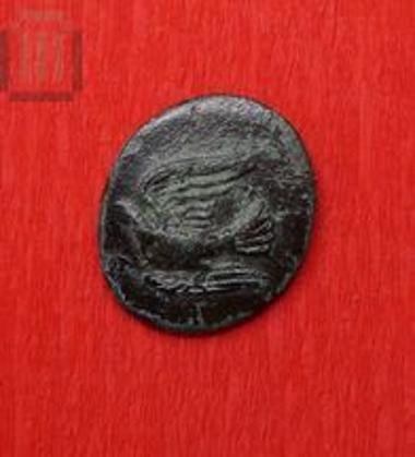 Bronze coin of Sicyon