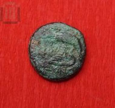 Bronze coin of Sicyon