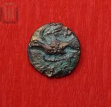 Bronze coin of Sicyon