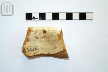 Τμήμα αγγείου