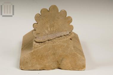 Λίθινος ανθεμωτός ηγεμών καλυπτήρας