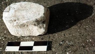 Αρχιτεκτονικό μέλος