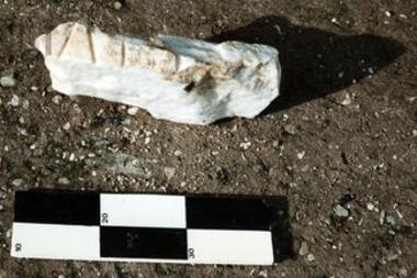 Θραύσμα πλάκας με λατινική επιγραφή