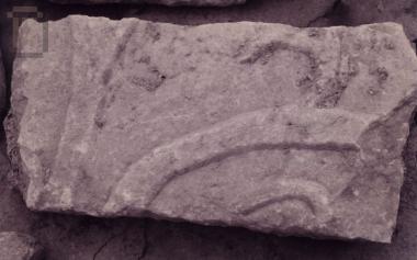 Τμήμα θωρακίου