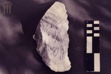 Τμήμα πεσσόκρανου