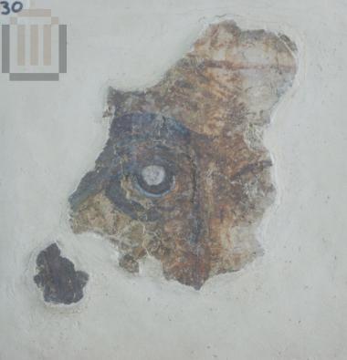Fragment of a face