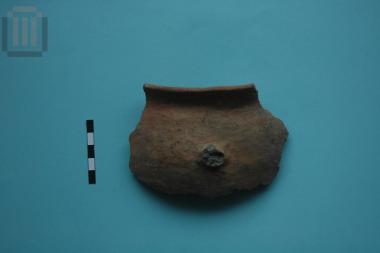 Vase sherd