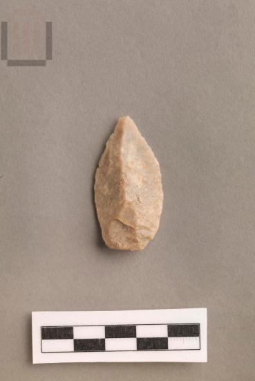 Φολίδα πυριτόλιθου