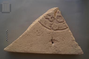 Τμήμα πλάκας