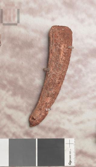 Κεράτινο εργαλείο εξόρυξης