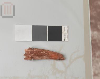 Κεράτινο εργαλείο εξόρυξης