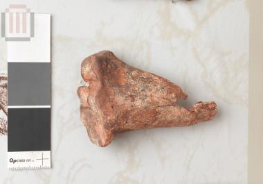 Οστέινο εργαλείο (σουβλί - βελόνα)