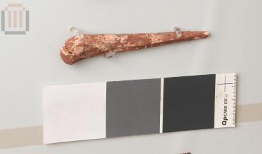 Οστέινο εργαλείο (σουβλί - βελόνα)