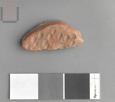 Όστρακο αποθηκευτικού αγγείου