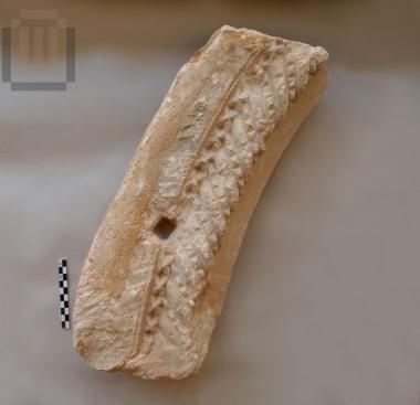 Architectural element