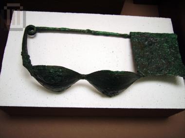 Bronze fibula
